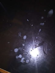 Photo 7, Sperm (amateur