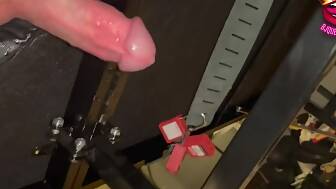 milking table ruined